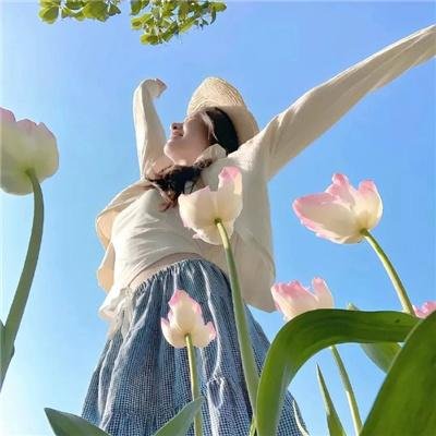 汪星人的奇思妙想 在线观看